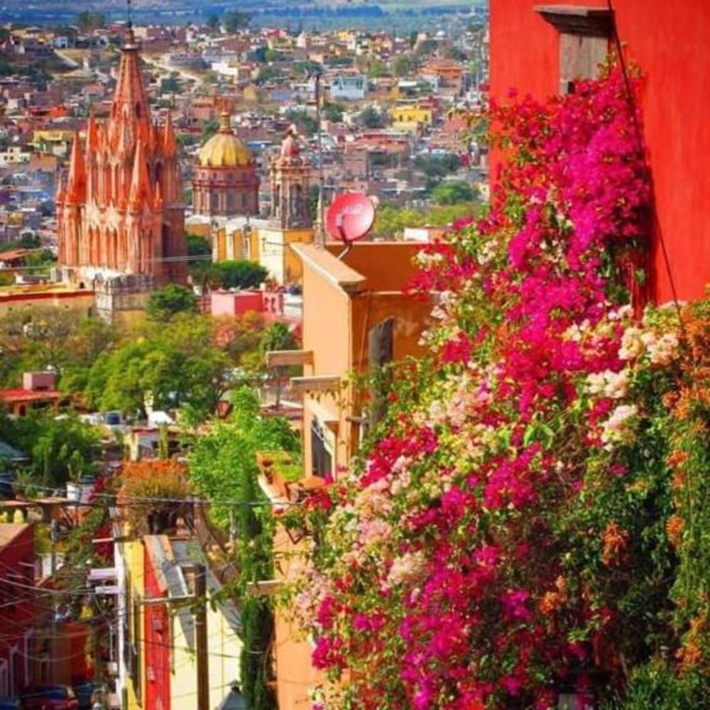 Meet your Posher, Elva